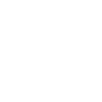 年代比率 若年者31%