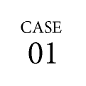 CASE01